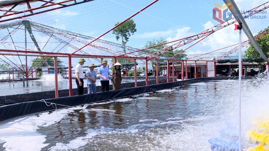 Mr. Ly Van Sang from Hai Lang commune raises shrimp using high-tech methods, achieving a yield of 80 tons per two harvests per year.