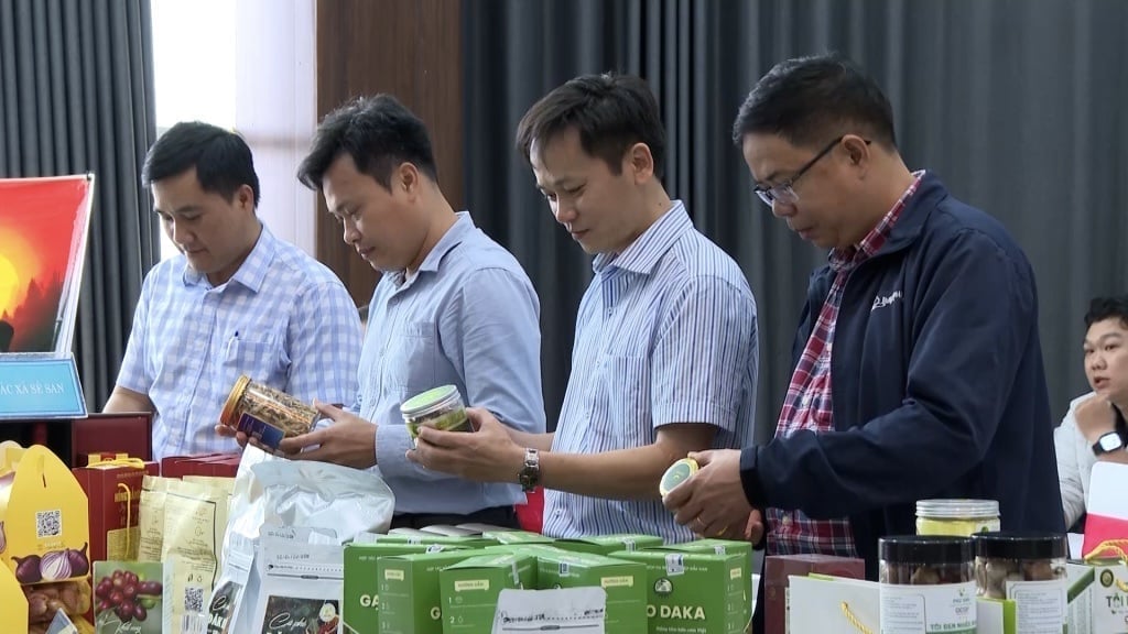 Консультативна група оцінює потенційні продукти OCOP з рейтингом 3-5 зірок на другому етапі. Фото: В.Г. Tổ tư vấn thẩm định các sản phẩm tiềm năng đạt OCOP 3 - 5 sao đợt 2. Ảnh: V.H.