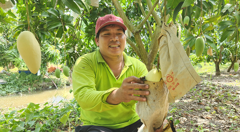 ເປົ້າໝາຍແມ່ນໃຫ້ຢ່າງໜ້ອຍ 6 ຕາແສງບັນລຸມາດຖານຊົນນະບົດໃໝ່.