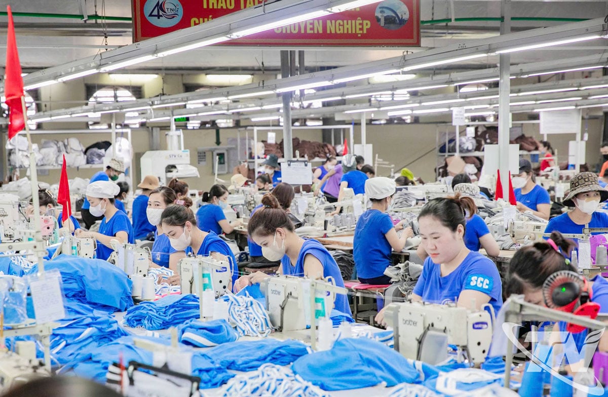 បច្ចុប្បន្ន TNG កំពុងផ្តល់ការងារស្ថិរភាពសម្រាប់កម្មករជាង 19.000 នាក់ដែលមានប្រាក់ចំណូលជាមធ្យម 10.5 លានដុងក្នុងមនុស្សម្នាក់ក្នុងមួយខែ។