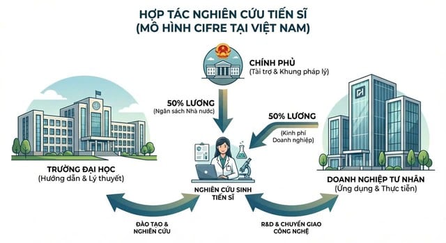 Kết nối doanh nghiệp và đại học: Thúc đẩy nghiên cứu ứng dụng - Ảnh 1.