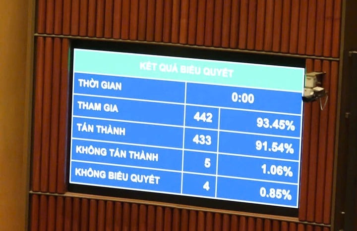 Quốc hội thông qua Luật Chuyển đổi số: Hoàn thiện hành lang pháp lý cho quá trình chuyển đổi số quốc gia - Ảnh 1.