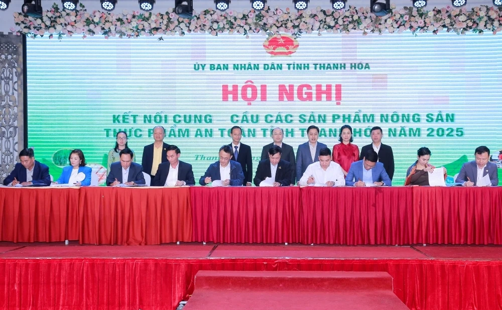 Conectar a oferta e a demanda por produtos agrícolas e alimentícios seguros na província de Thanh Hoa em 2025.