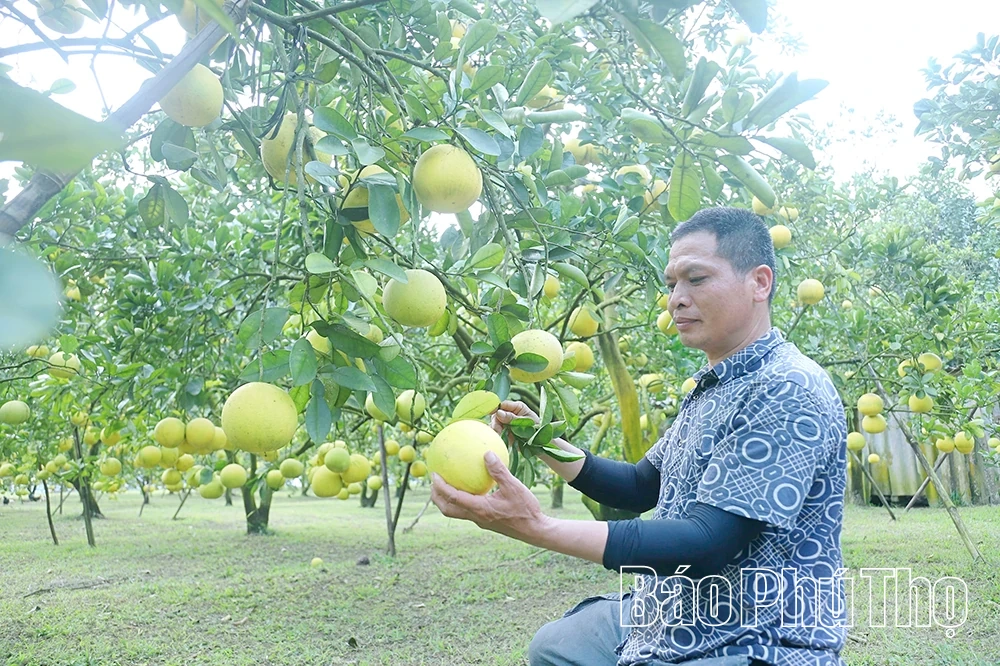 효과적인 소통은 지속 가능한 빈곤 감소를 가져온다.