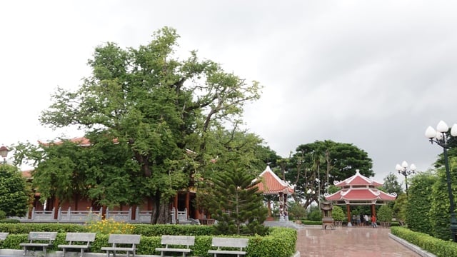 꽝쭝 박물관의 타마린드 나무와 우물에는 떠이선 왕조의 정신이 반영되어 있다 - 사진 2. Hào khí nhà Tây Sơn từ cây me và giếng nước tại Bảo tàng Quang Trung - Ảnh 2.