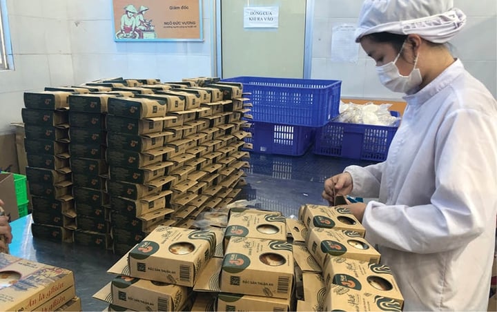 Quyền sở hữu trí tuệ đang trở thành “lá chắn” quan trọng đối với doanh nghiệp - Ảnh 1.