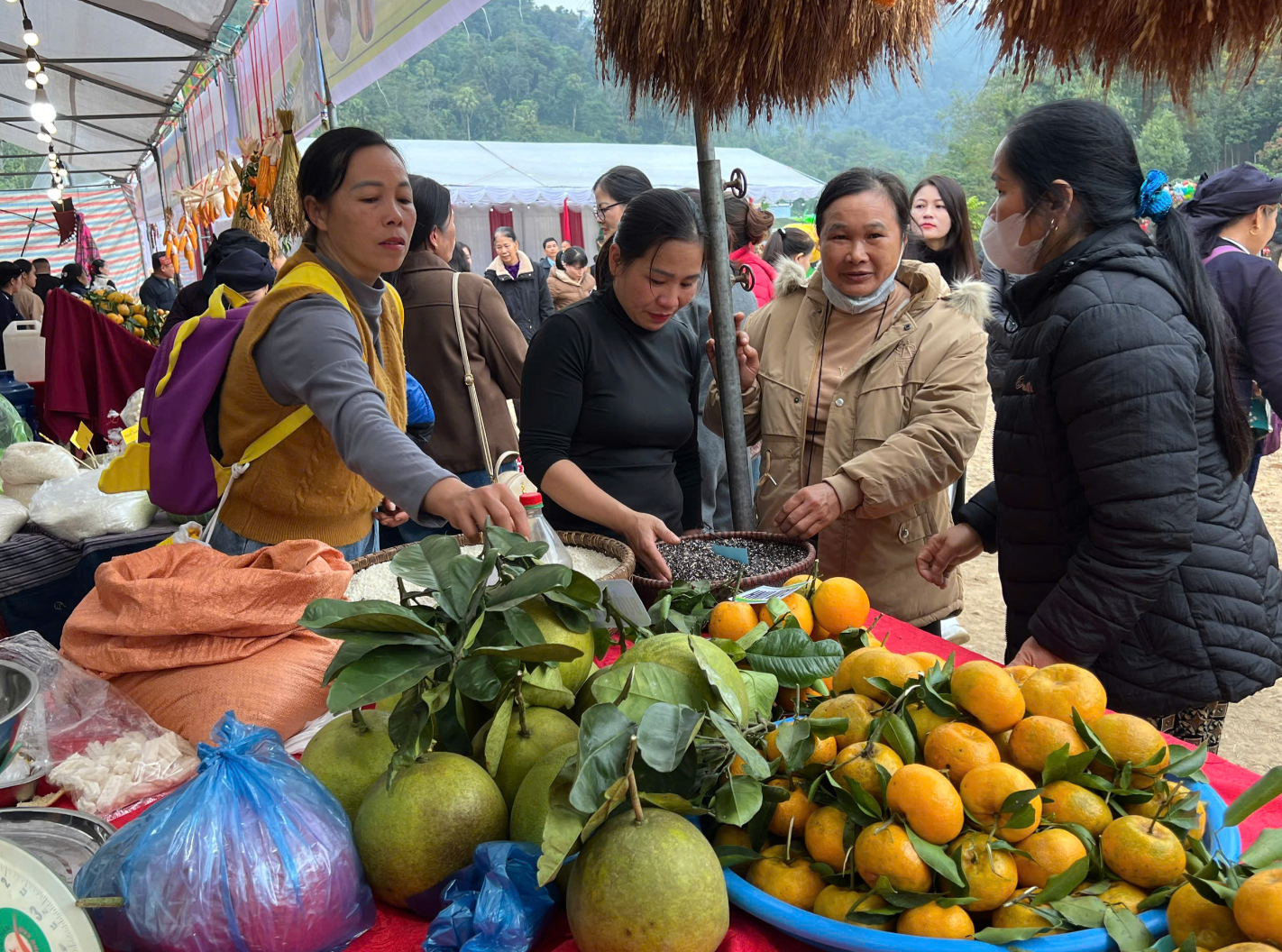 Những gam màu mới trong bức tranh du lịch Thái Nguyên - Ảnh 6.