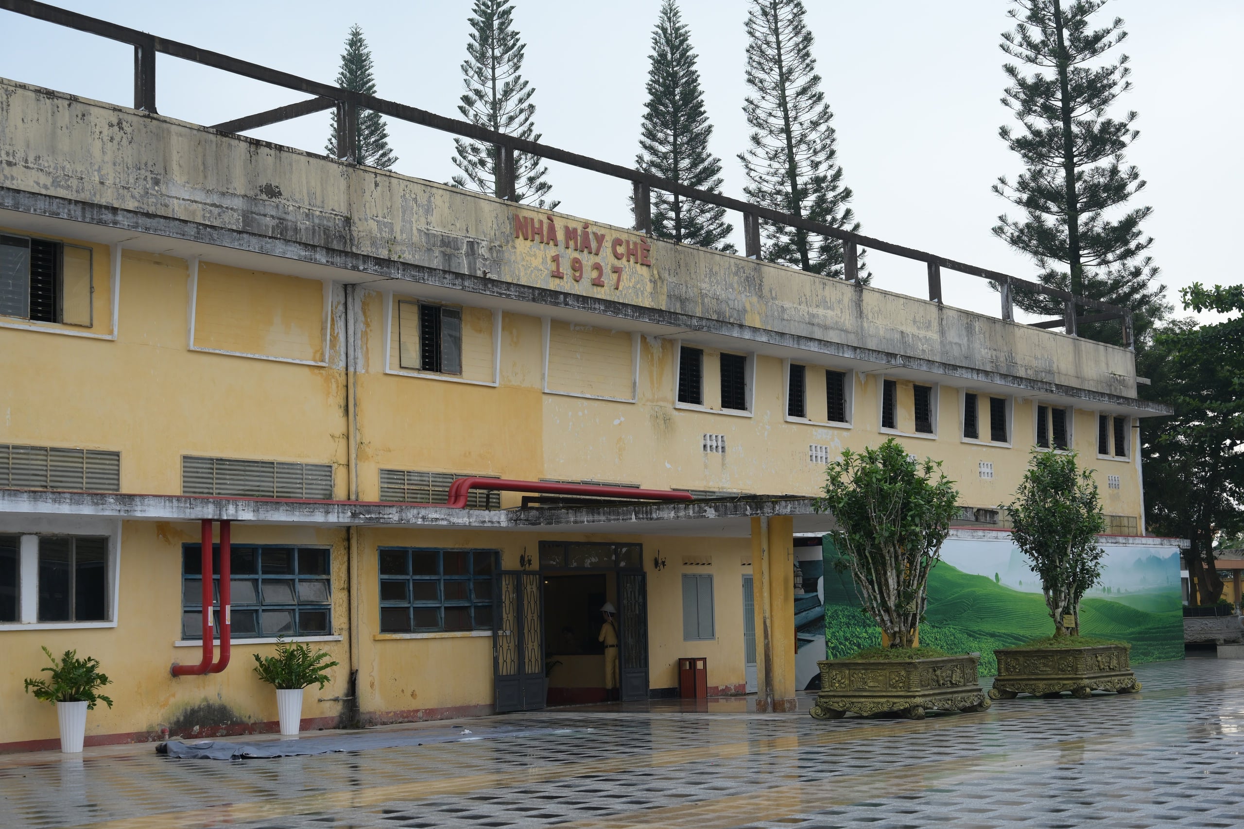 Du khách đổ về xem biểu diễn thực cảnh tại nhà máy chè cổ 1927- Ảnh 1.