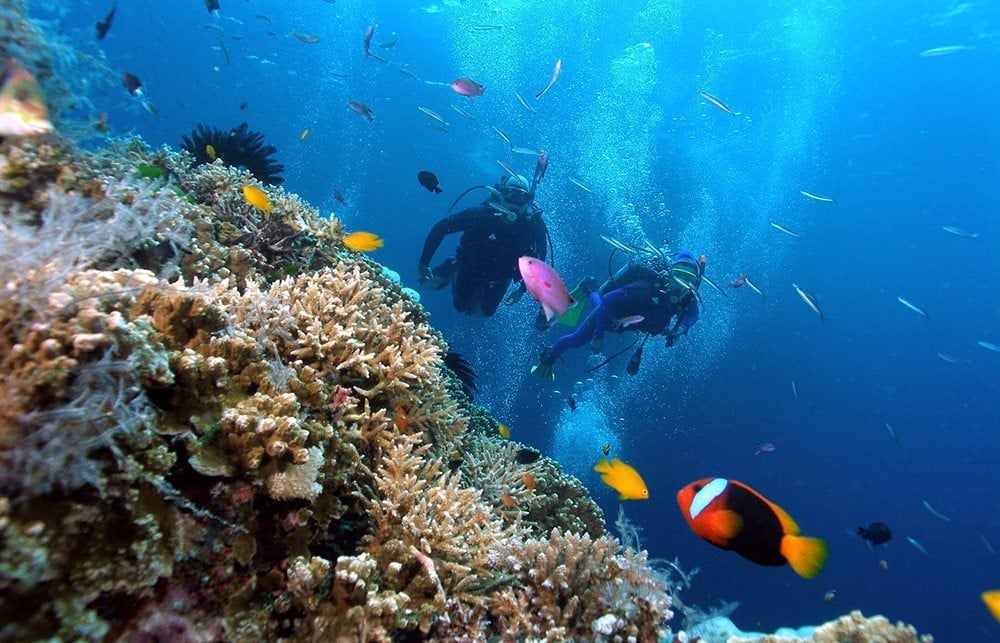 Les autorités locales espèrent que le projet COAST aidera la province à atteindre ses objectifs de développement, à renforcer la conservation de la biodiversité et à améliorer la résilience communautaire... Photo : VASI.MAE. Địa phương kỳ vọng dự án COAST sẽ giúp tỉnh hoàn thành các mục tiêu phát triển, tăng cường bảo tồn đa dạng sinh học, nâng cao khả năng chống chịu của cộng đồng... Ảnh: VASI.MAE.