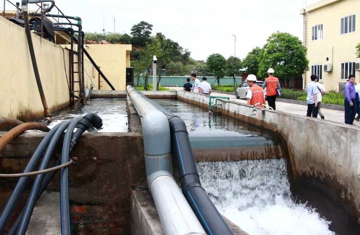 Quảng Ninh: ứng dụng khoa học và công nghệ phát triển kinh tế xanh, bền vững - Ảnh 1.