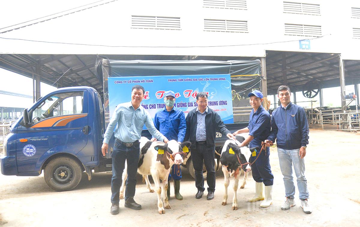 Syarikat Saham Bersama Ho Toan menyumbangkan lembu tenusu kepada Pusat Pembiakan Ternakan Besar.