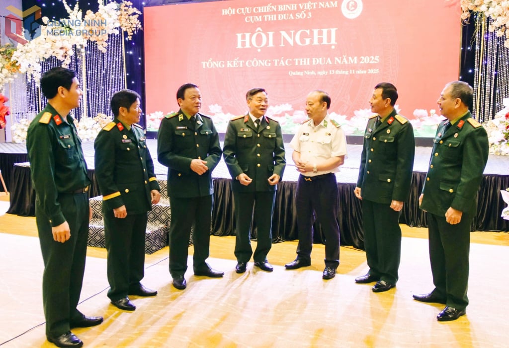 Ledare för Provincial Veterans Association delade med sig av sina erfarenheter från olika aktiviteter vid den sammanfattande konferensen 2025 för emuleringskluster nr 3.