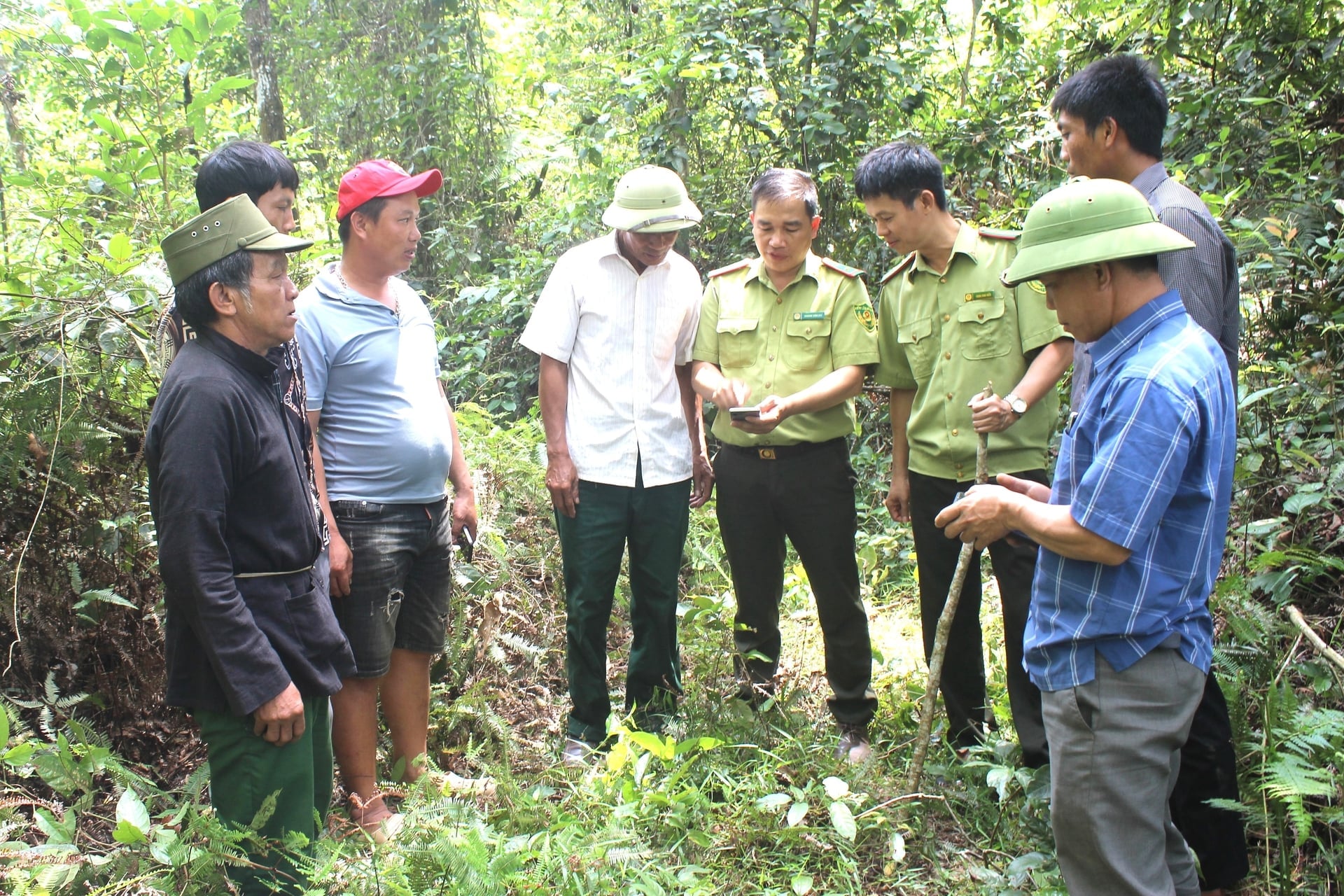 Petugas dari Unit Perlindungan Hutan Wilayah VI, Sub-Departemen Perlindungan Hutan Son La, bersama dengan warga setempat, memeriksa kondisi hutan saat ini. Foto: Nguyen Nga. Cán bộ Hạt Kiểm lâm khu vực VI, Chi cục Kiểm lâm Sơn La cùng người dân kiểm tra hiện trạng rừng. Ảnh: Nguyễn Nga.