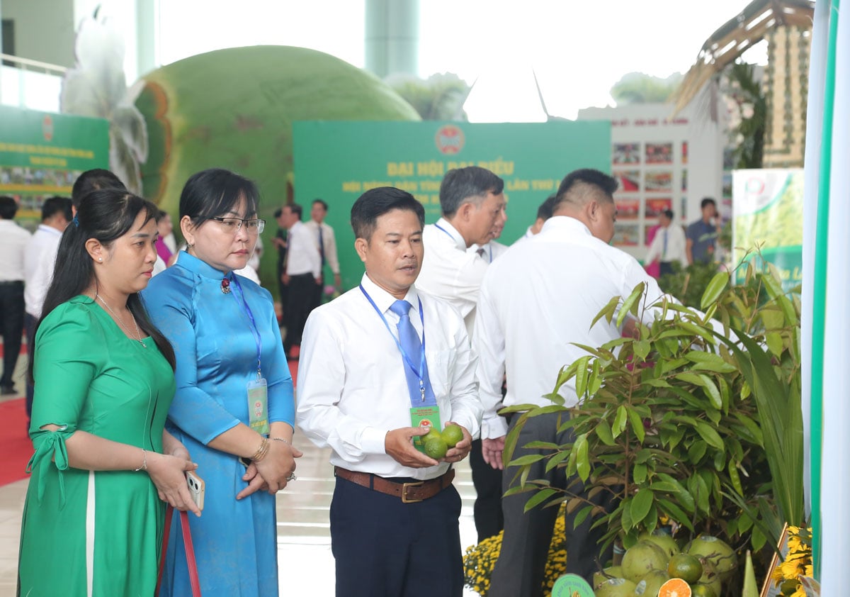대표단은 대표적인 농산물과 OCOP(한 지자체 한 제품) 제품을 전시하는 전시 공간을 방문했습니다.