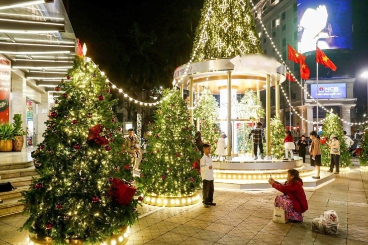 แบบจำลองตุ๊กตาหมีและต้นคริสต์มาสที่ทำจากไฟ LED