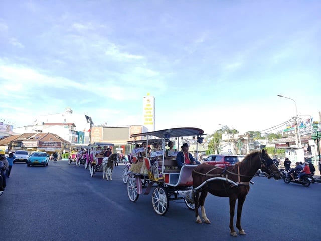 Carruajes tirados por caballos en Da Lat: un producto turístico único que necesita ser restaurado y desarrollado - Foto 1. Xe ngựa Đà Lạt: Sản phẩm du lịch đặc thù cần khôi phục và phát triển- Ảnh 1.