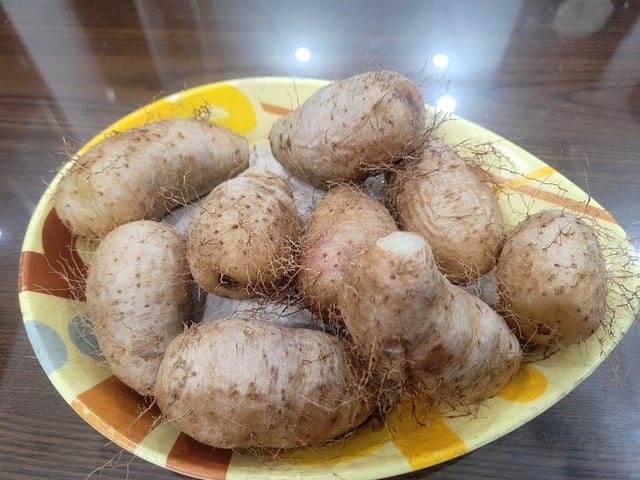 În ciuda aspectului său aspru, această legumă rădăcinoasă este „la fel de prețioasă ca ginsengul”, bună pentru glicemia și poate fi folosită pentru a prepara multe feluri de mâncare delicioase pe vreme rece - Fotografia 2. Xù xì bên ngoài nhưng củ này “quý như sâm”, tốt cho đường huyết, chế biến được nhiều món ngon ngày lạnh - Ảnh 2.