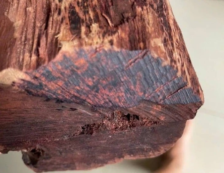 thương lái Trung Quốc - Ảnh 1.