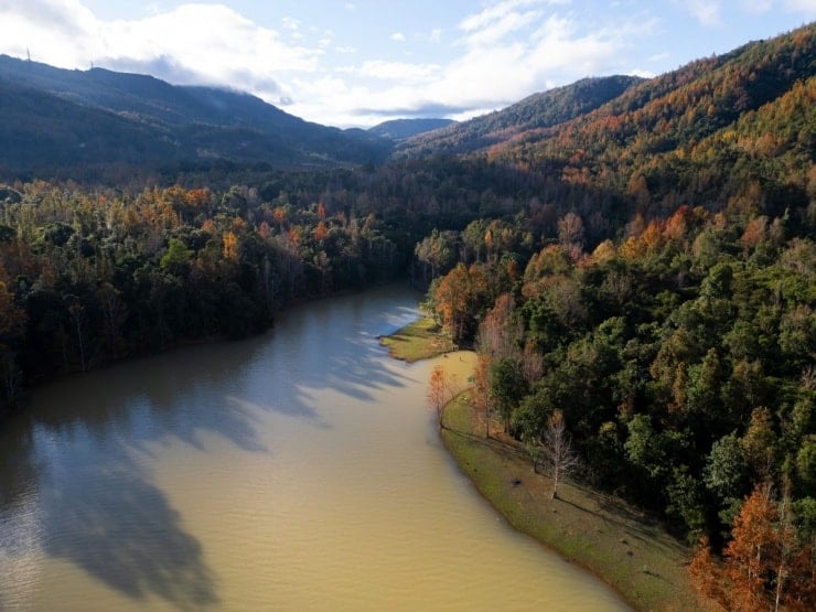 יער האדר בקה סאן משנה צבע, מושך אליו מטיילים - 1