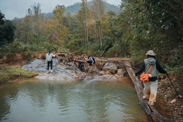 יער האדר בקה סאן משנה צבע, מושך אליו מטיילים - 5