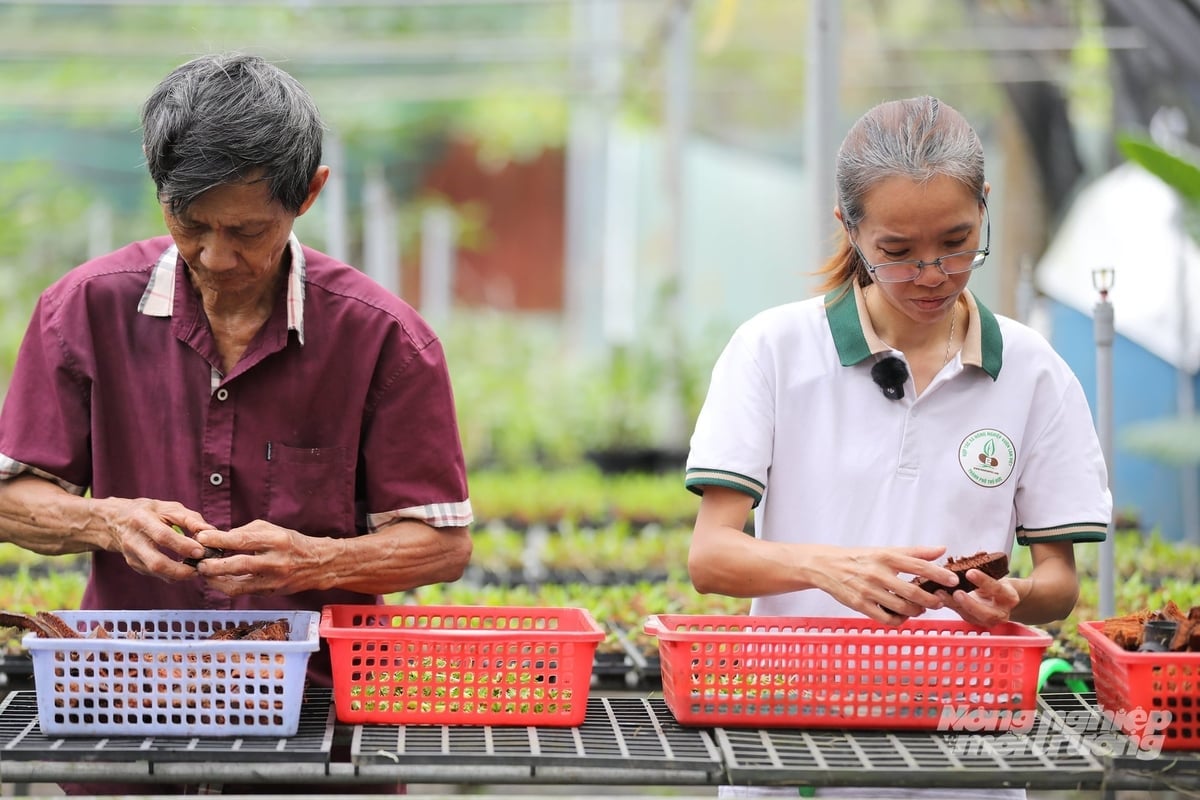 Công tác hợp tác quốc tế về khuyến nông đã tác động tích cực trong chuyển giao tiến bộ khoa học trong sản xuất nông nghiệp. Ảnh: Nguyễn Thủy.