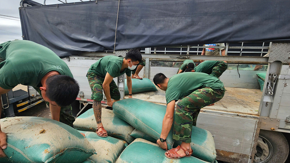 Soldații din Brigada 198 Forțe Speciale au ajutat locuitorii din comuna Tay Hoa la încărcarea și transportul orezului umed și al nedecorticatului pentru uscare.