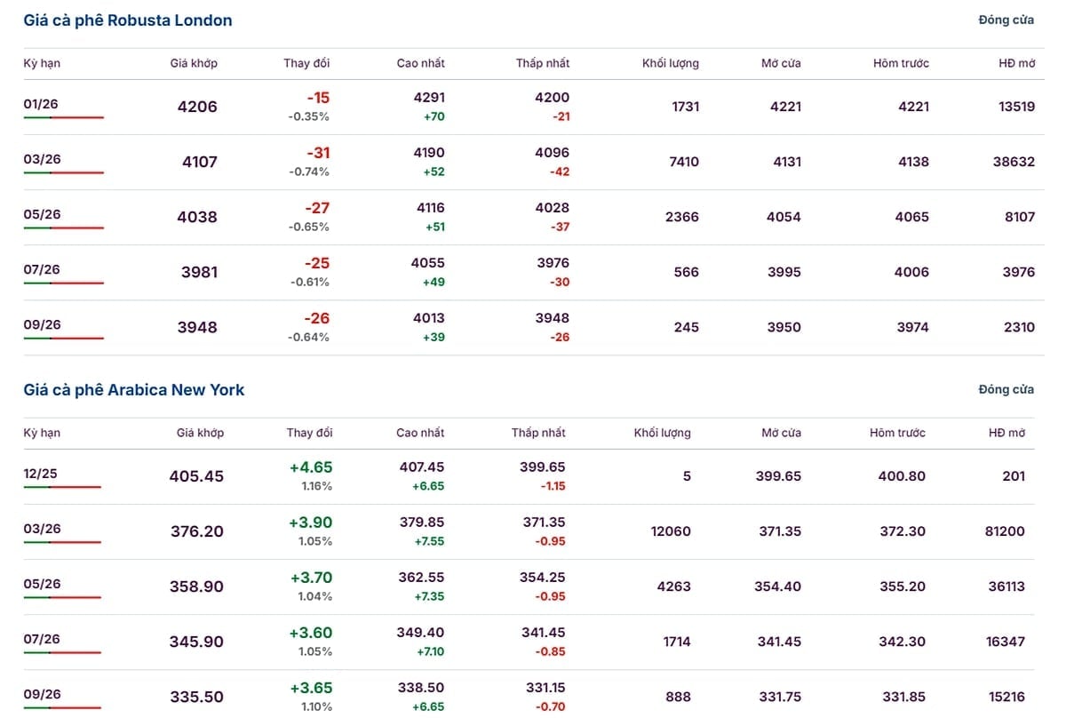 Giá Arabica và Robusta ngày 12/12/2025 mới nhất
