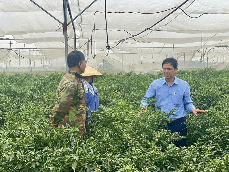 Dezvoltarea zonelor de producție agricolă concentrată.