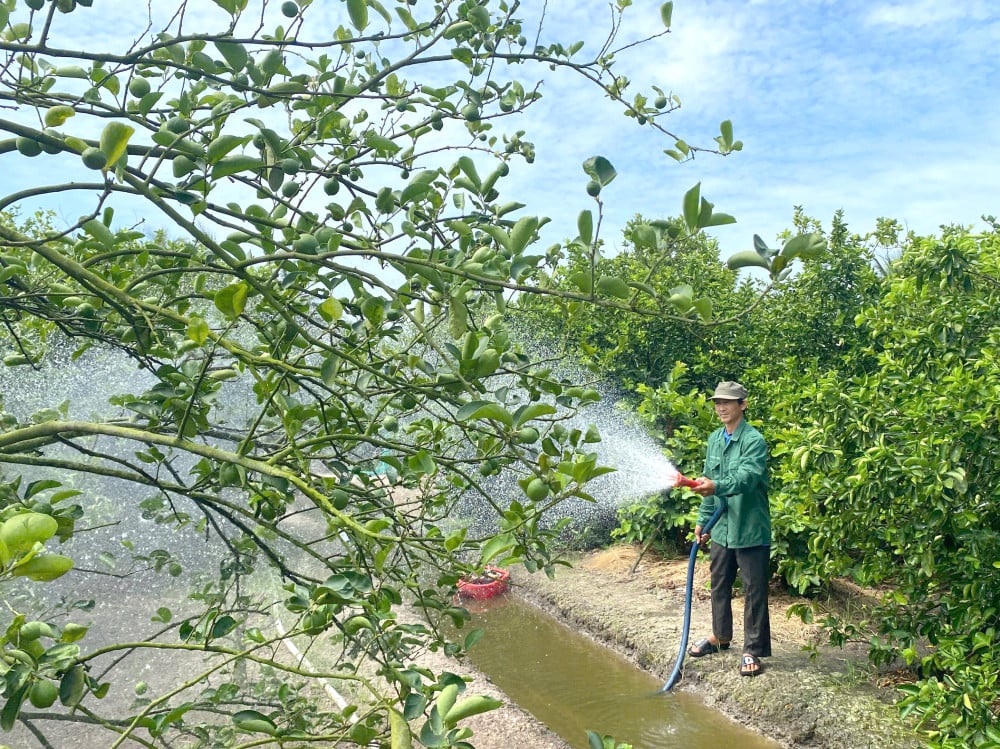 Una mirada retrospectiva a la agricultura de alta tecnología.