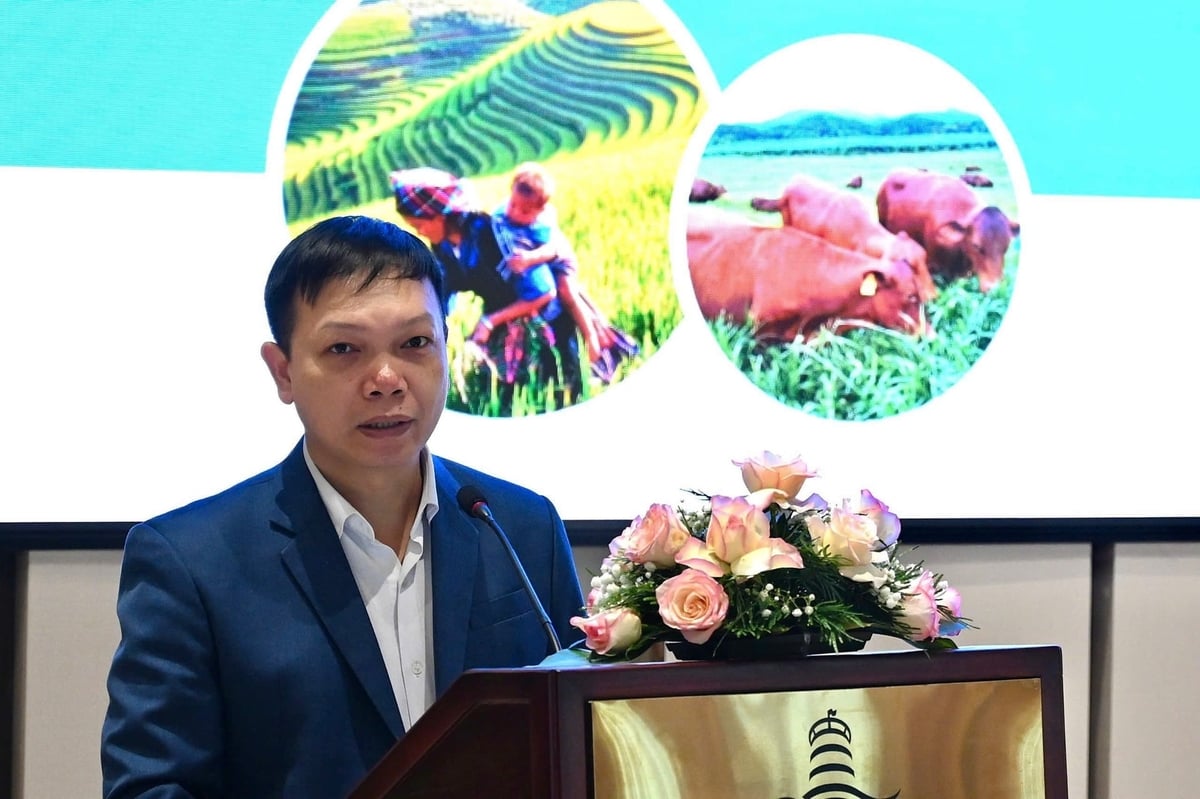 Enligt Nguyen Song Ha har Vietnam en enorm potential att utveckla koldioxidutbytesprojekt enligt artikel 6 i Parisavtalet inom livsmedelssystemet. Foto: Kieu Chi. Theo ông Nguyễn Song Hà, Việt Nam sở hữu tiềm năng to lớn trong việc phát triển các dự án trao đổi các bon theo cơ chế tại Điều 6 Thỏa thuận Paris trong hệ thống lương thực thực phẩm. Ảnh: Kiều Chi.