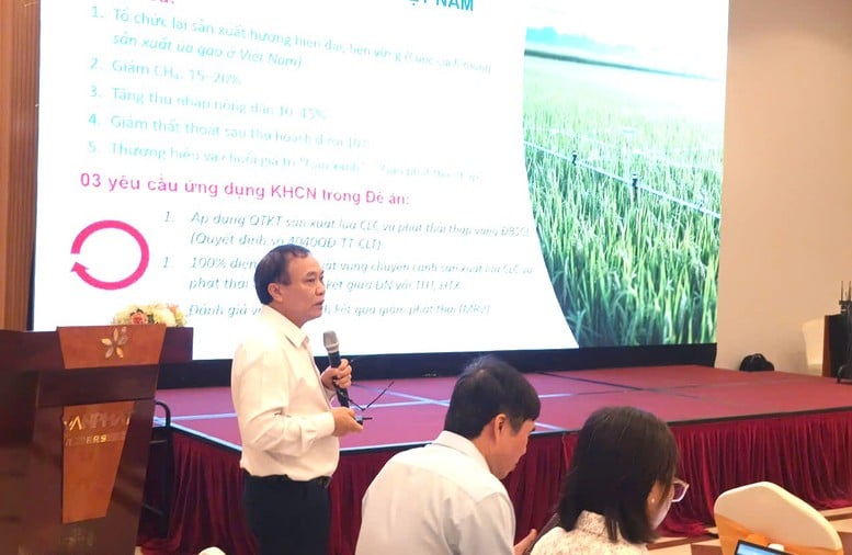 Cuộc 'cách mạng' lần thứ 3 của lúa gạo Việt Nam: Hạt gạo xanh cho tương lai- Ảnh 1.