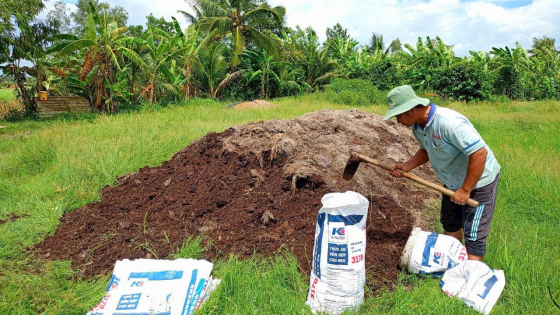 Cơ giới hóa thu gom rơm rạ, người trồng lúa tăng 15% thu nhập