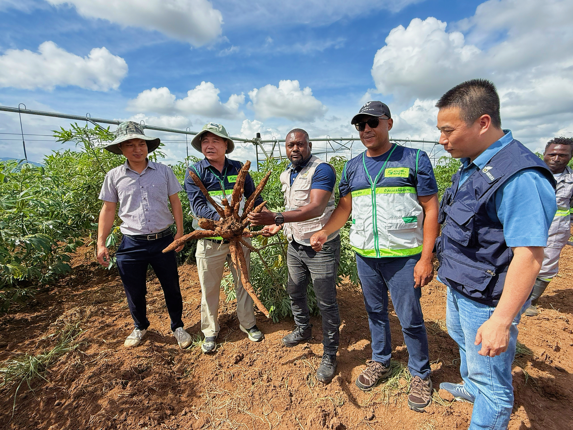Ngày 12/12 (giờ Việt Nam), đoàn công tác Bộ Nông nghiệp và Môi trường đi khảo sát thực địa trang trại sắn tại Angola. Ảnh: ICD.