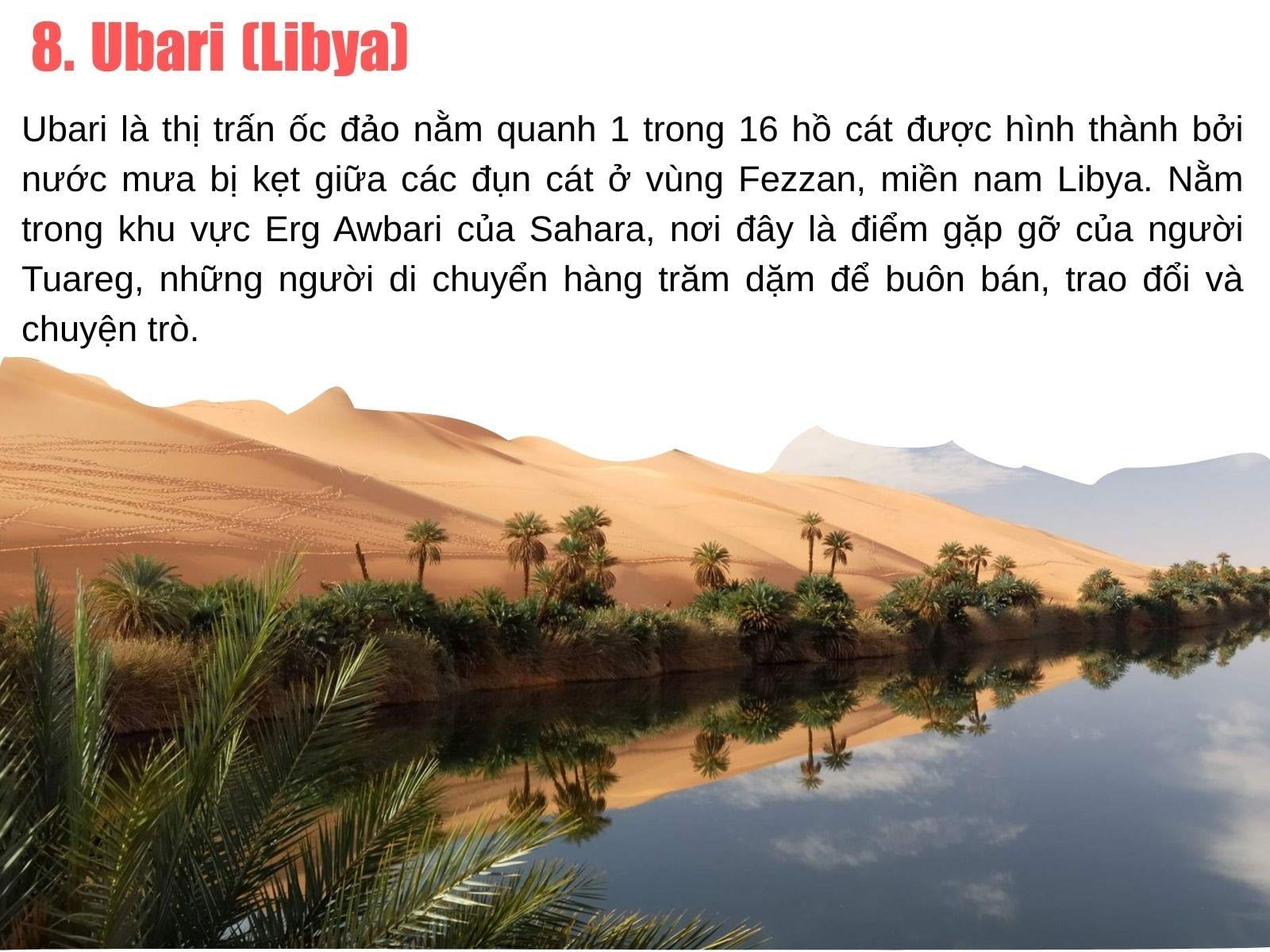 Ngôi làng Taghit với những tòa nhà bằng đất nép mình bên rừng cọ và cồn cát đỏ của sa mạc Sahara.