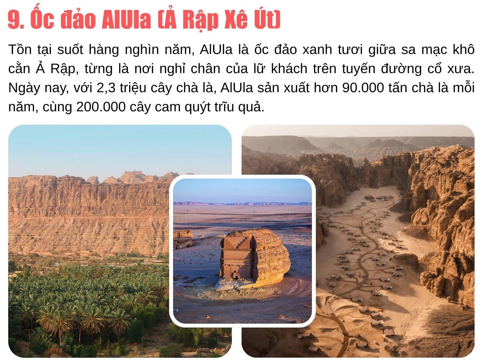 Một hồ nước nhỏ giữa những tảng đá và cây cọ tại ốc đảo Timia, Niger.