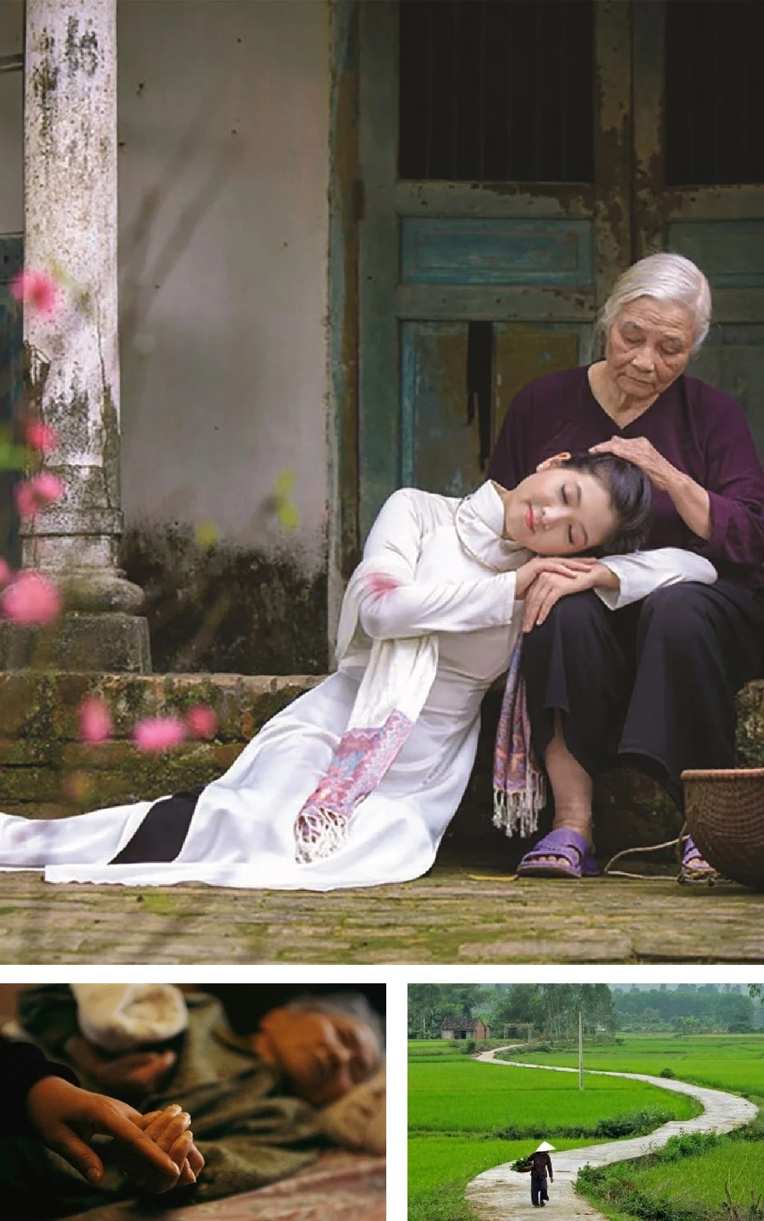 [ទស្សនាវដ្តីអេឡិចត្រូនិក]៖ រដូវកាលនេះបិទជំពូកស្តីពីប្រភពនៃសេចក្តីស្រឡាញ់