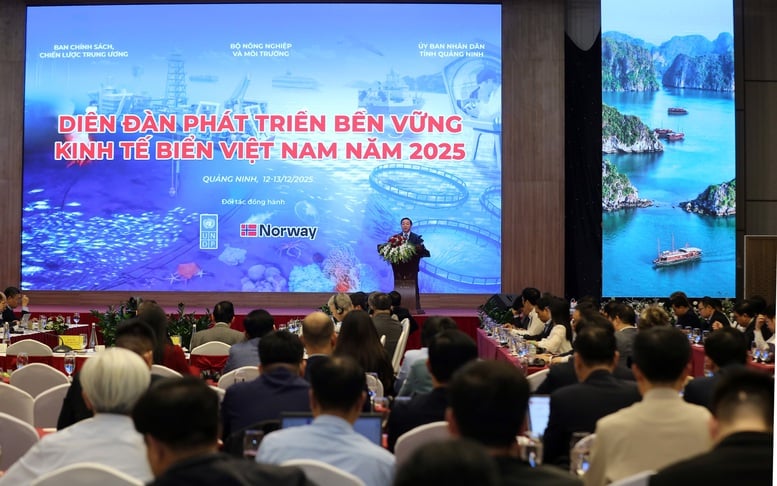 ສືບຕໍ່ປັບປຸງນະໂຍບາຍ ແລະ ກົນໄກສຳລັບ 'ເສດຖະກິດສີຟ້າ' - ຮູບທີ 3. Tiếp tục hoàn thiện chính sách, cơ chế 'kinh tế biển xanh'- Ảnh 3.
