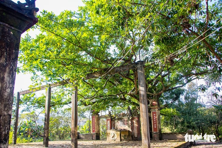 Đà Nẵng - Ảnh 3.