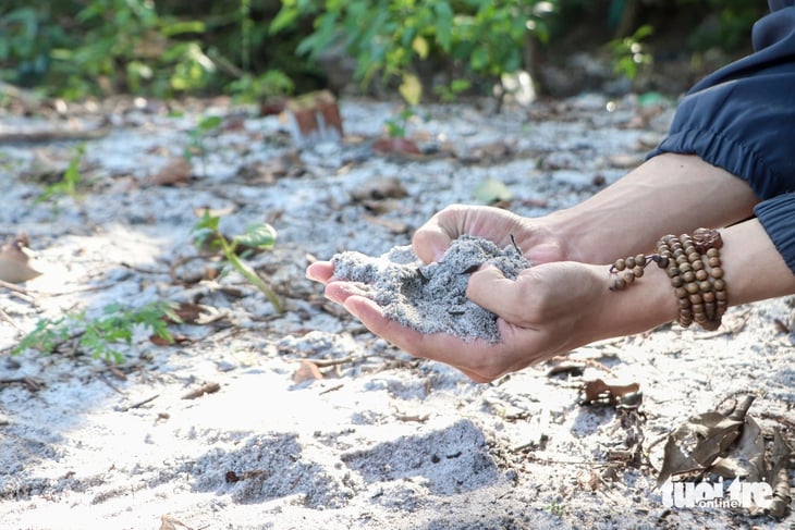 Đà Nẵng - Ảnh 9.