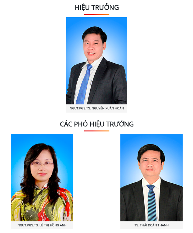 Tại sao một số trường đại học có Nhiều phó hiệu trưởng hơn những trường khác? - Ảnh 1.