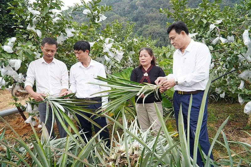 Gerar impulso e força para o novo mandato.