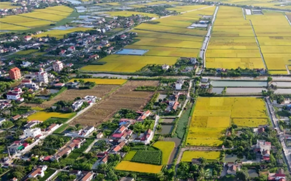 Снижение платы за перевод сельскохозяйственных земель в жилые на 70%: Люди могут получить компенсацию за плату за пользование землей - Изображение 1. Giảm 70% tiền chuyển đổi đất nông nghiệp sang thổ cư: Người dân có thể được hoàn tiền sử dụng đất- Ảnh 1.