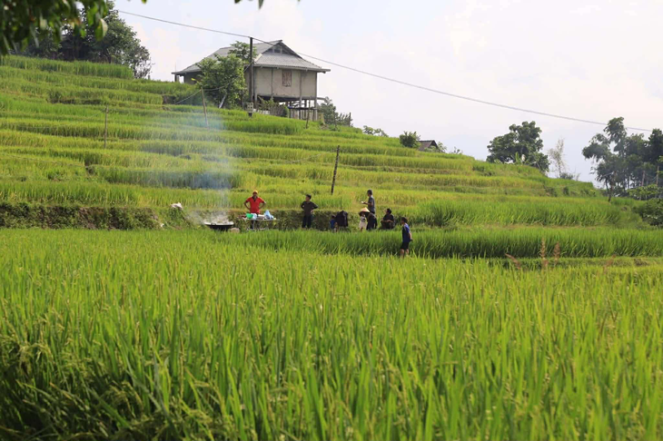 Χάι Τιέν Φο - Φωτογραφία 10.