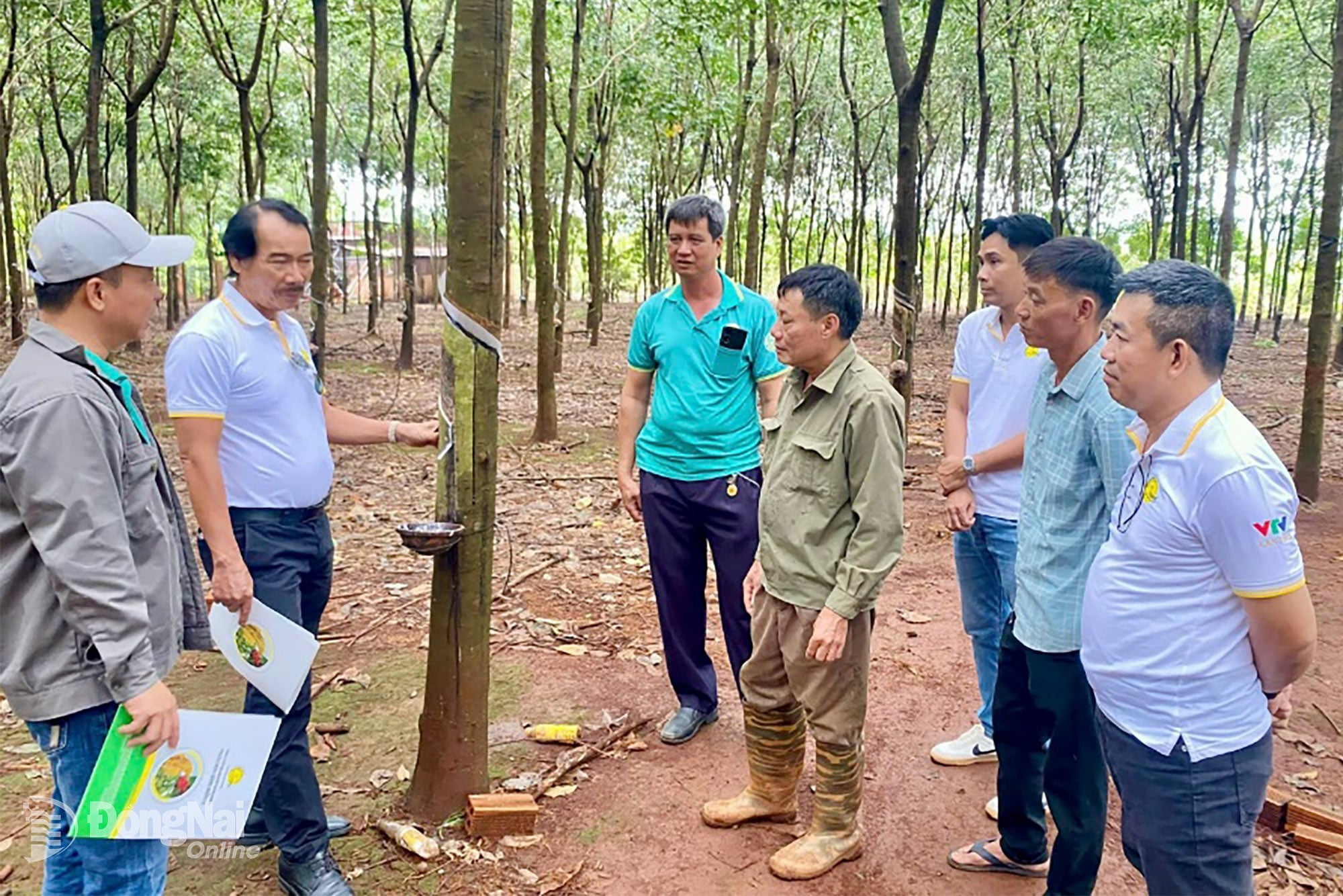 Agricultores que participan en el Programa de Buenas Prácticas Agrícolas. Foto: Quoc Phong