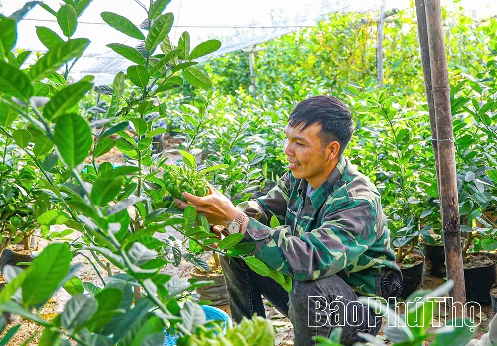 ผลไม้พระหัตถ์เปิดทางสู่ความมั่งคั่ง