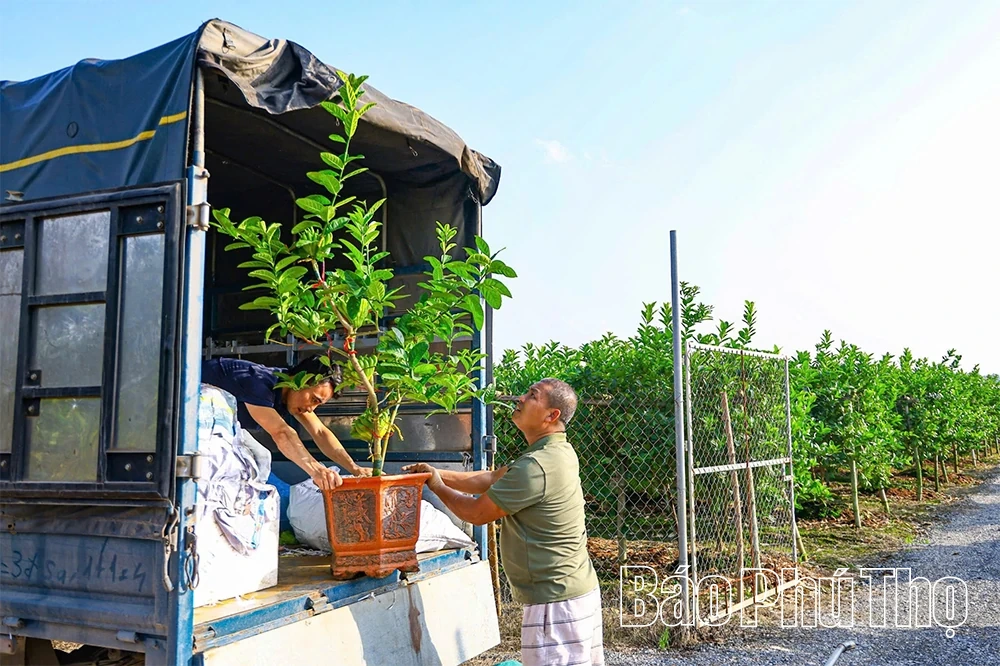 ผลไม้พระหัตถ์เปิดทางสู่ความมั่งคั่ง
