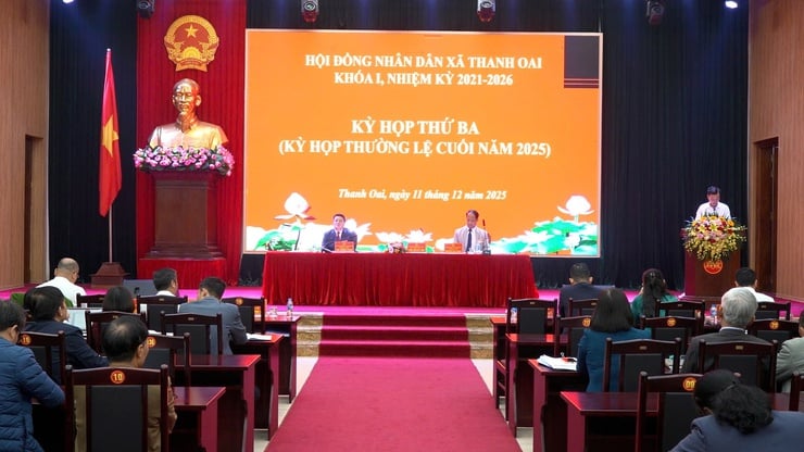 Năm 2025 xã Thanh Oai đạt và vượt 11/11 chỉ tiêu kinh tế - xã hội- Ảnh 6.