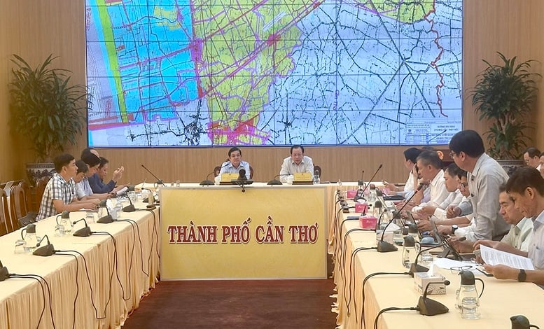 Koordinace pro zajištění pokroku projektu přenosového vedení 500 kV LNG Bac Lieu - Thot Not - Foto 1. Phối hợp đảm bảo tiến độ dự án đường dây 500 kV LNG Bạc Liêu - Thốt Nốt- Ảnh 1.