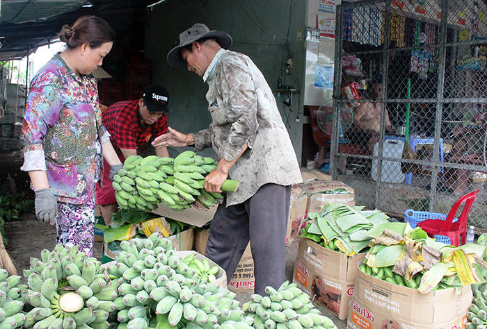 Diskutera lösningar för att främja hållbar bananproduktion.