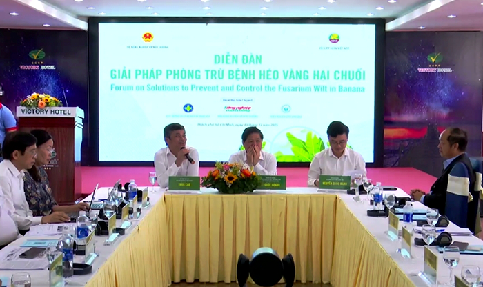 Diskutera lösningar för att främja hållbar bananproduktion.